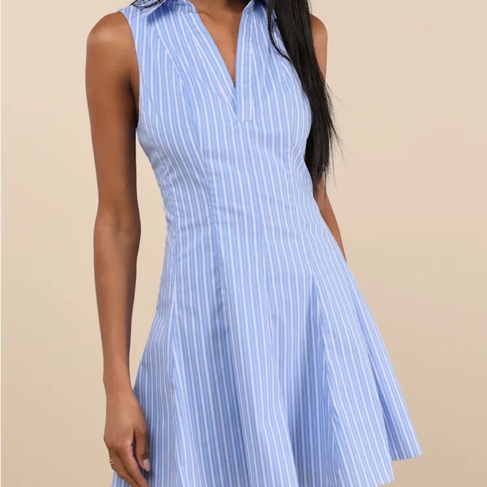 NWT Lulus Skater Dress